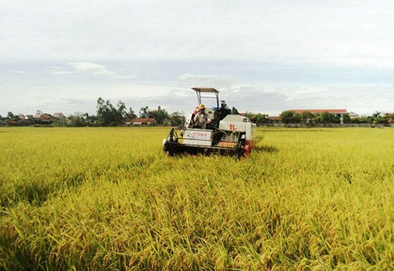 Cần đẩy mạnh cơ giới hóa trong sản xuất nông nghiệp